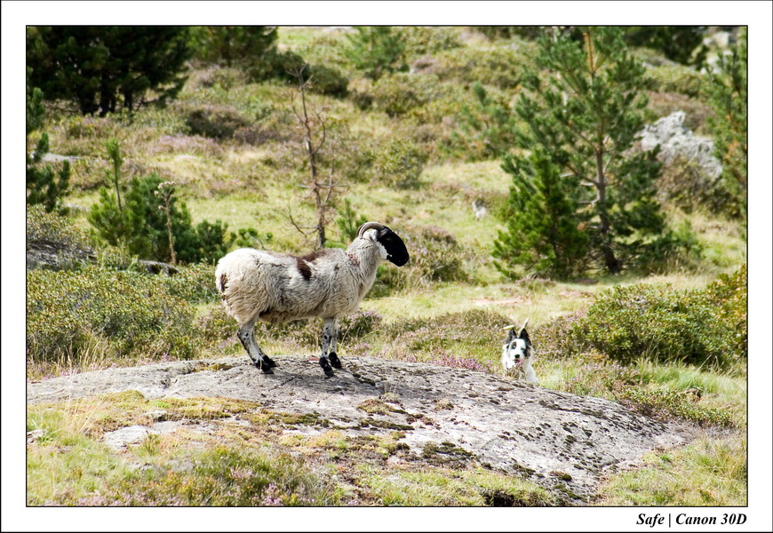 Sept 06 Tarbes - Ballade gaubie 28